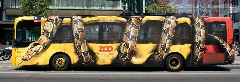 Decoracion Vehicular