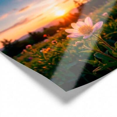 Fotos 10×15 cm con terminación brillante y opción borde blanco perimetral, impresas en RotulArte
