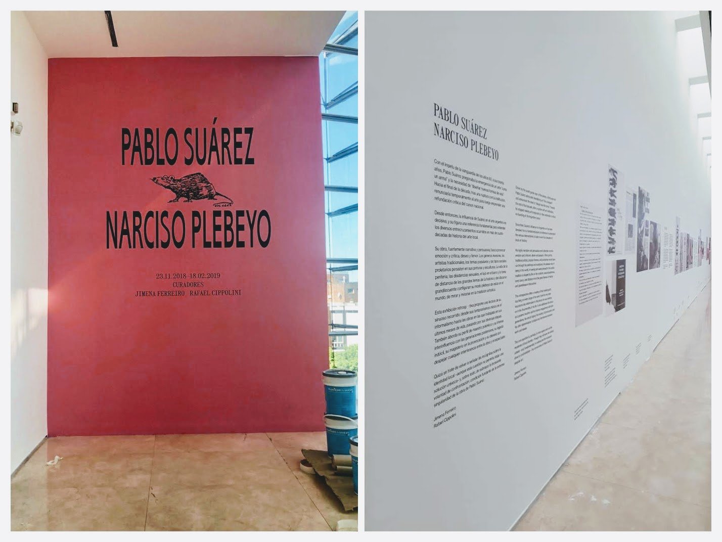 Gráfica para Exposición Pablo Suárez en Malba