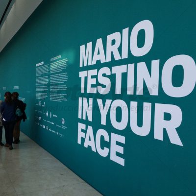 Vinilo de corte para exposiciones - Malba Mario testino