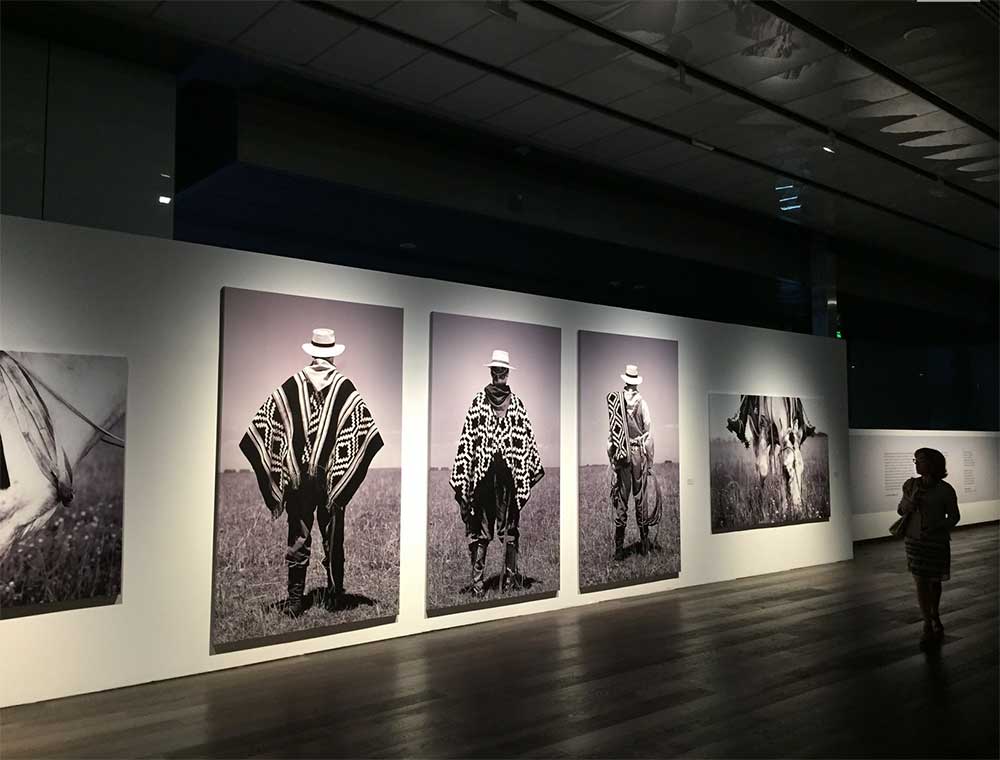 Ponchos de Aldo Sessa