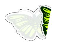 Impresión de Stickers bajo Vidrio