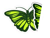 Stickers Doble Faz