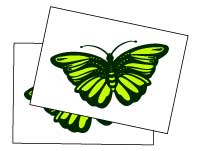 Impresión de Stickers Rectangulares