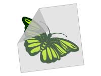 Impresión de Stickers en vinilo con transfer